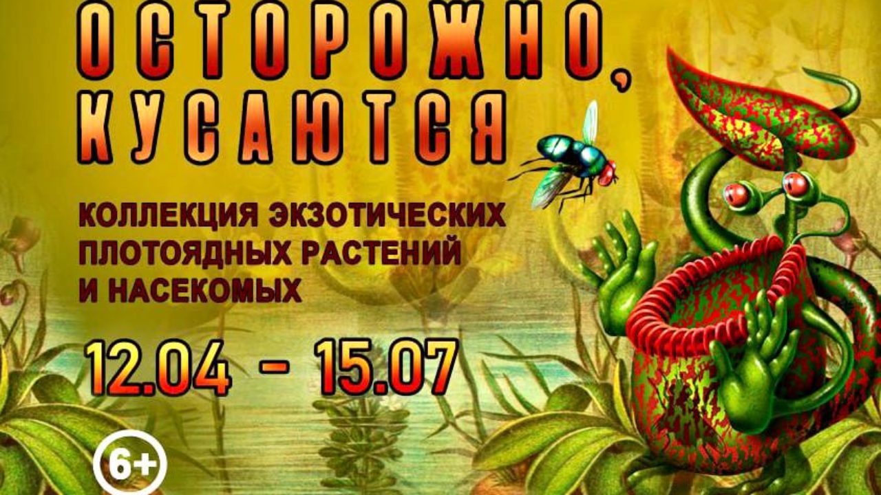 Хищные растения в кино – Музей Фелицына