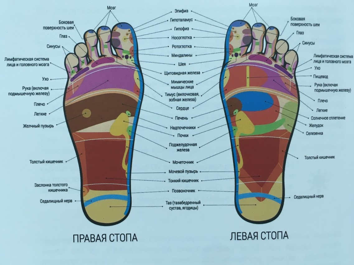 Массаж стопы ног обучение в картинках с пояснениями